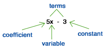 terminology coefficient variable terms constant