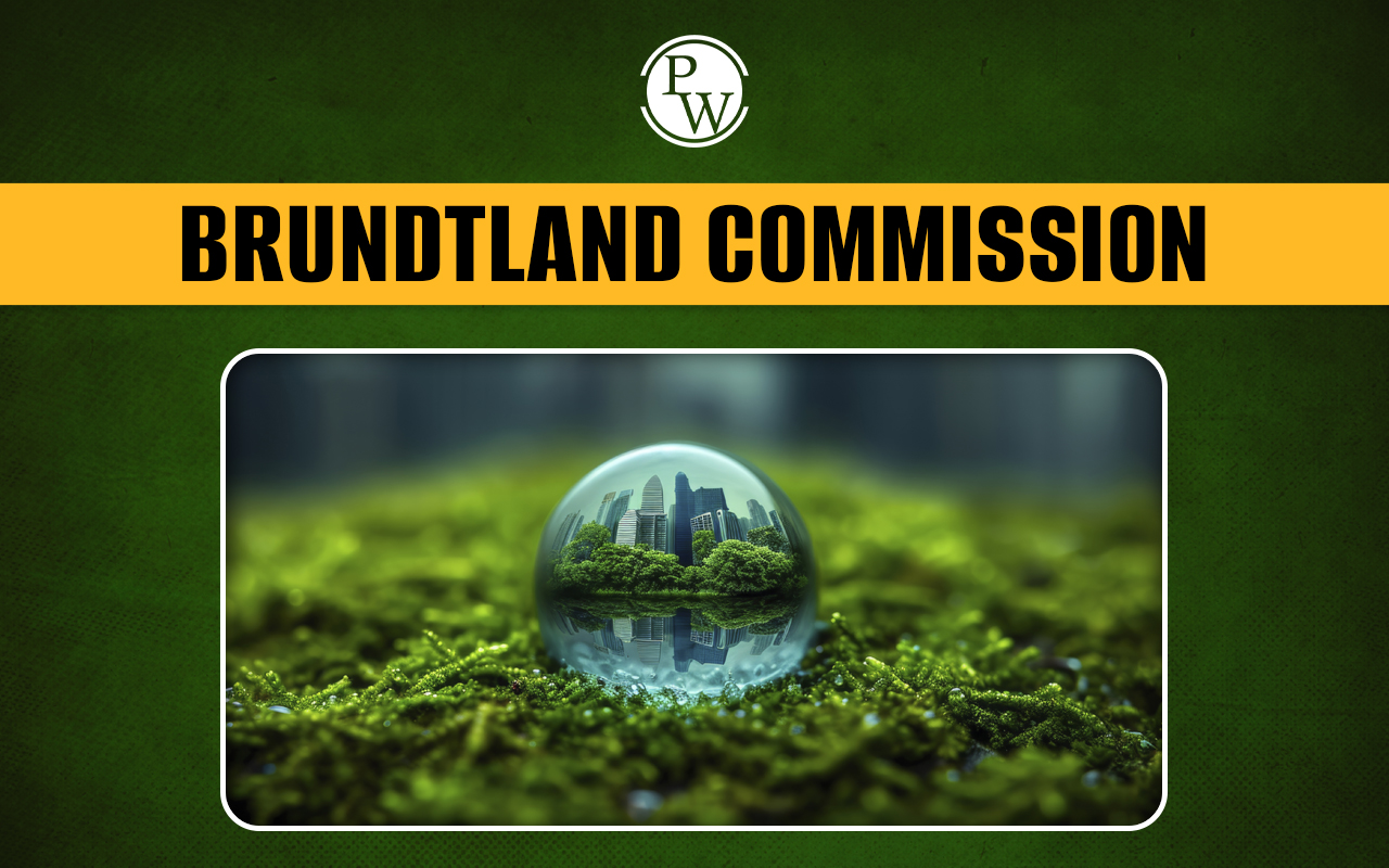 Brundtland Commission