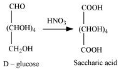 NCERT Solutions for Class 12  Chemistry Chapter 14 - Biomolecules