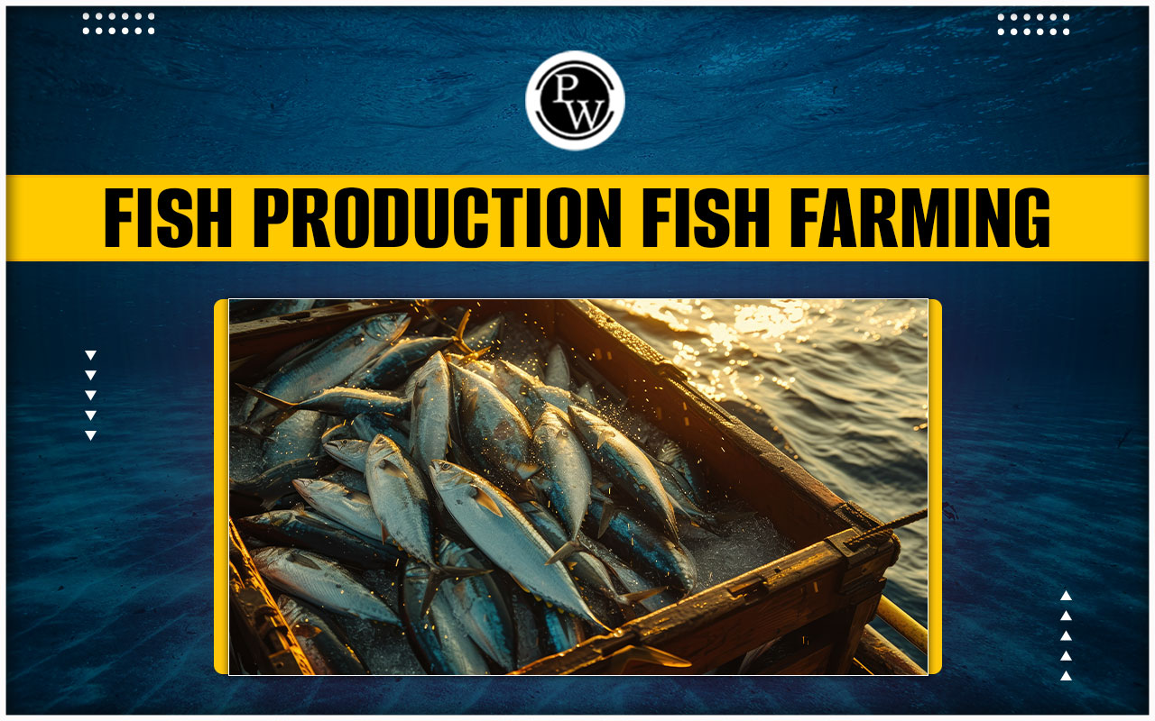 Fish Production Fish Farming