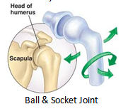ball and socket joints
