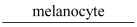 NCERT solution for class 11