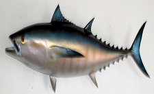 tuna