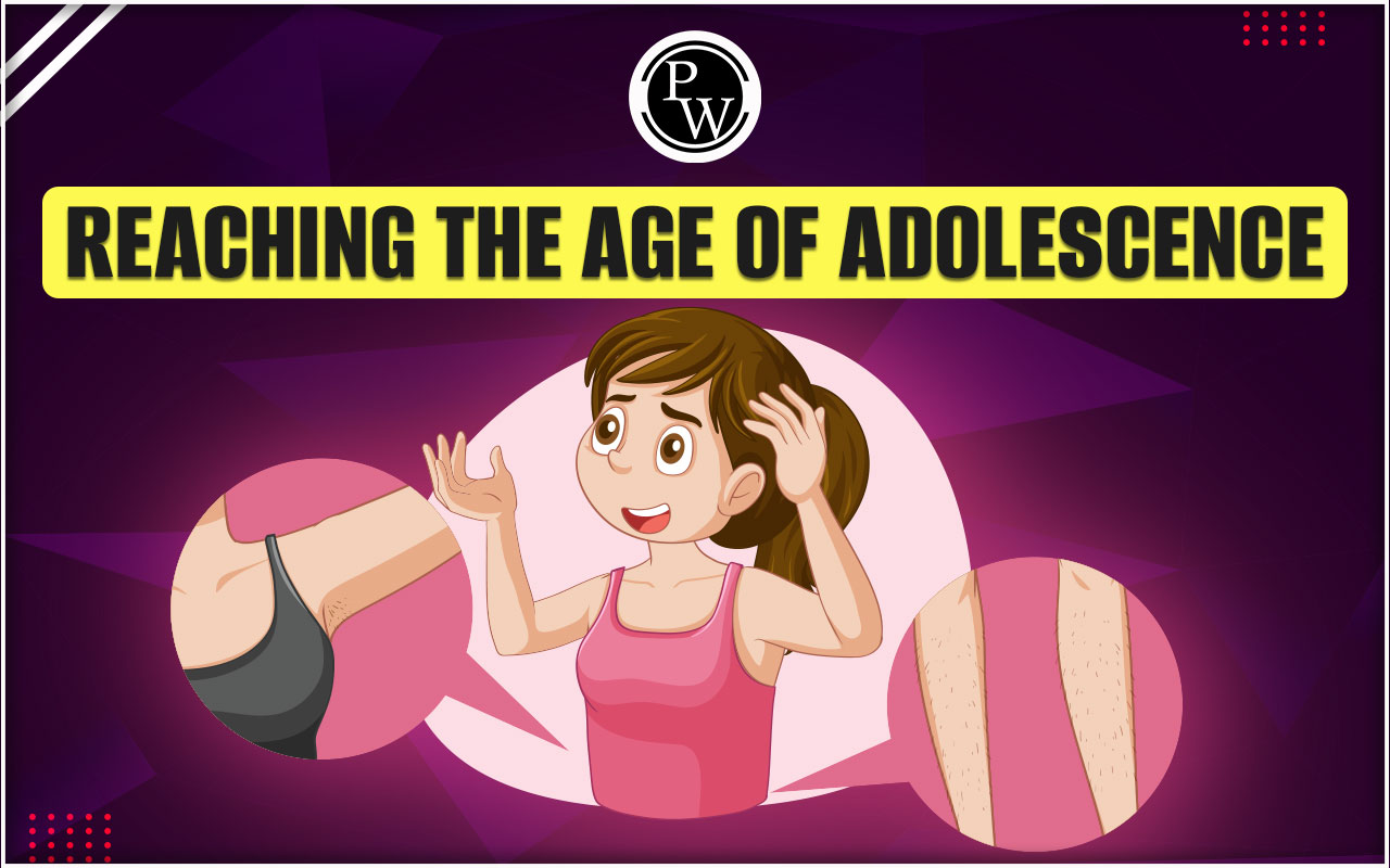 Adventure of Adolescence