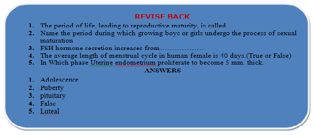 menstrual cycle revision
