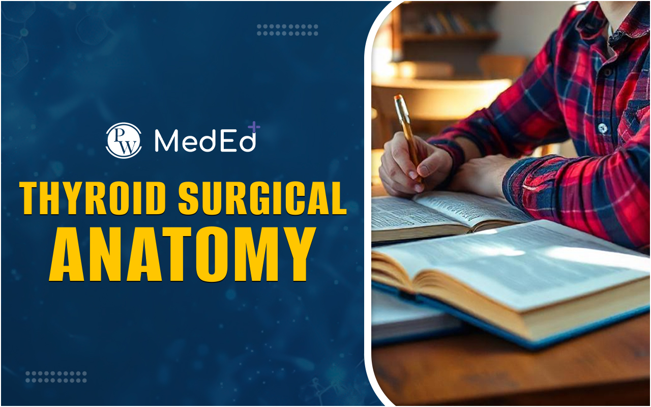 Thyroid Surgical Anatomy Overview