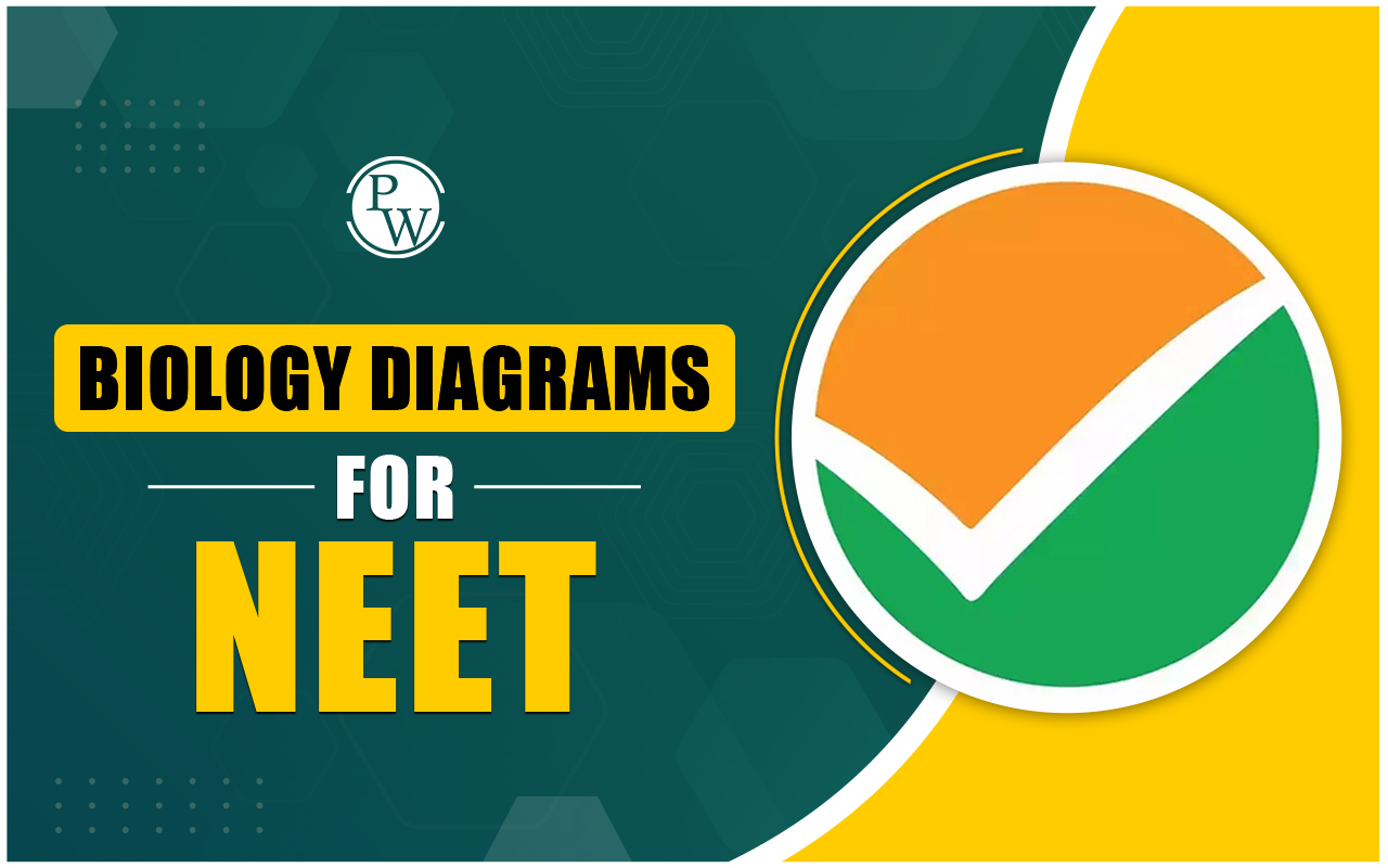 Biology Diagrams for NEET