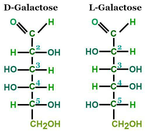 D Galactose Formula