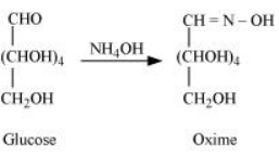 NCERT Solutions for Class 12  Chemistry Chapter 14 - Biomolecules