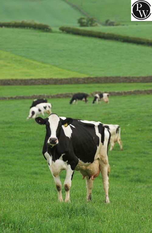 List of Farm Animals