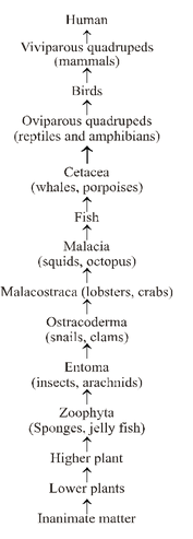Introduction of Evolution