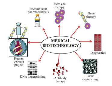 Biotechnological Applications in Medicine