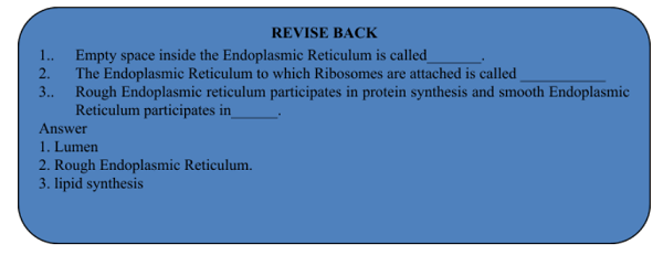 ENDOPLASMIC RETICULUM
