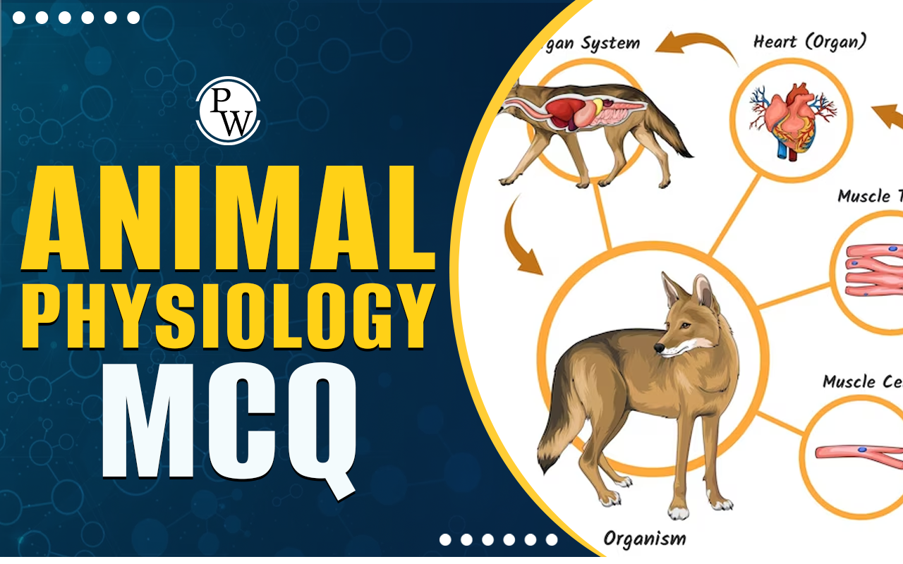 Animal Physiology MCQ for NEET Biology with Answers