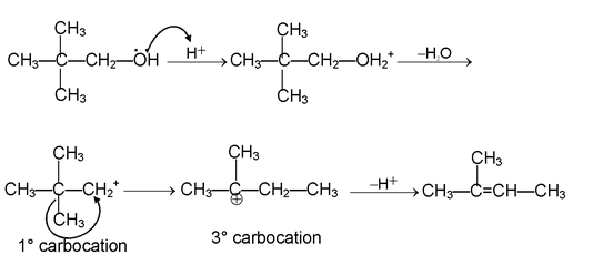 Mechanism Of Organic Reaction