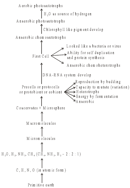 Theories of Origin of Life
