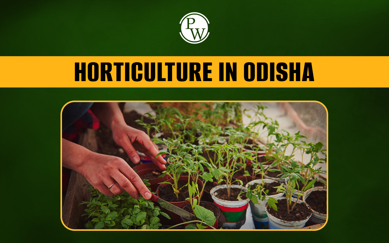 Horticulture in Odisha