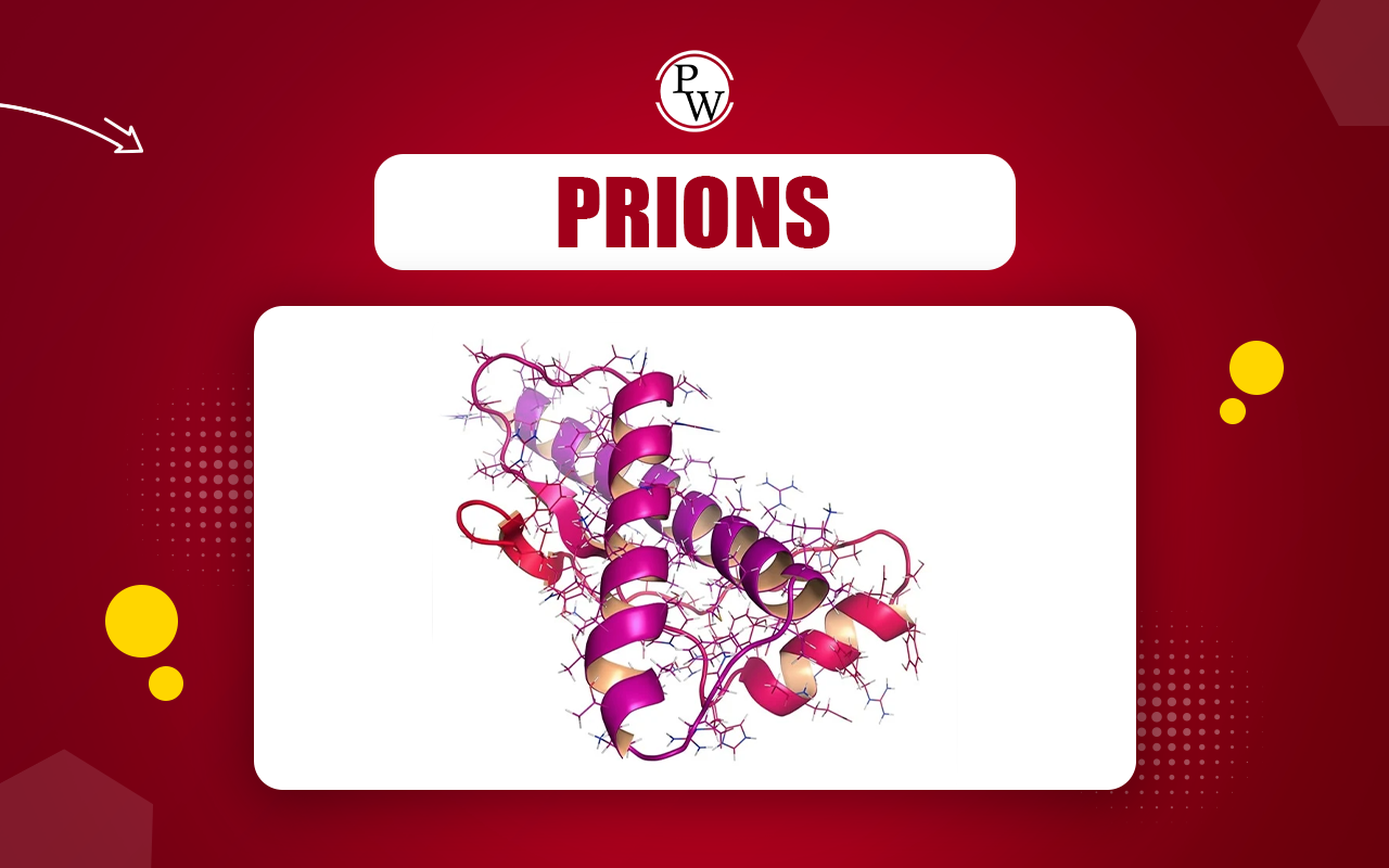 Prions, Definitions, Discovery, Types, Structure and Mechanism