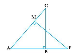 ncert solutions class 10 chapter 6 Ncert solutions class 10 chapter 6-19