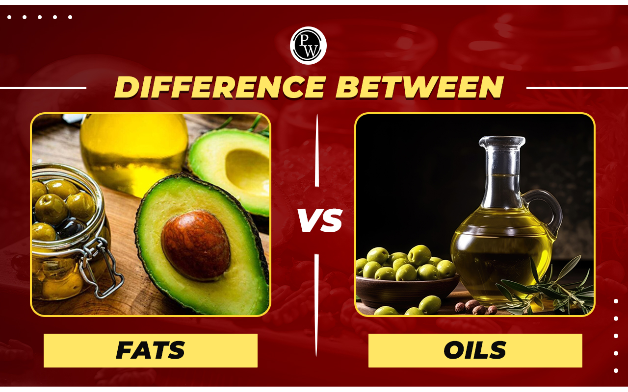 Difference Between Fats and Oils with Examples