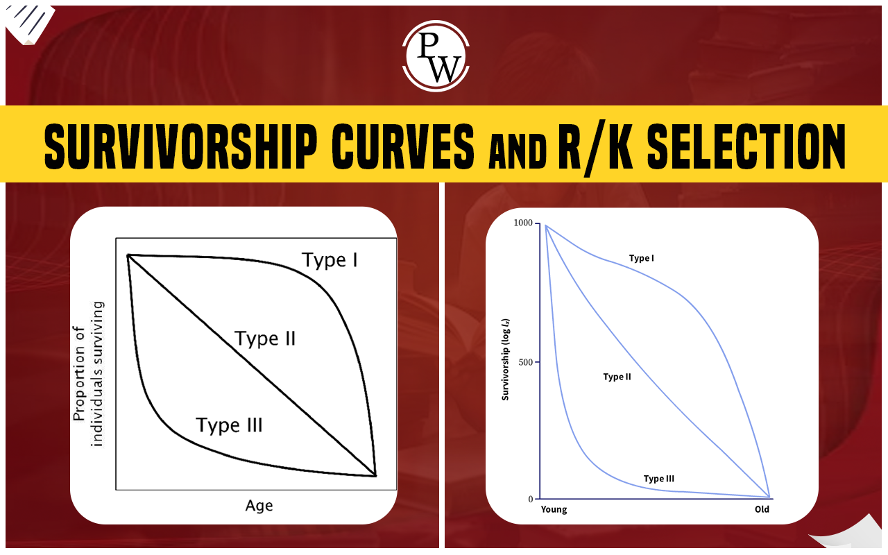 Survivorship Curves and r/k Selection
