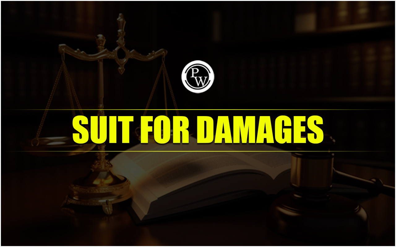 Suit for Damages