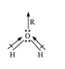 NCERT Solutions for Class 11 Science Chemistry Chapter 4