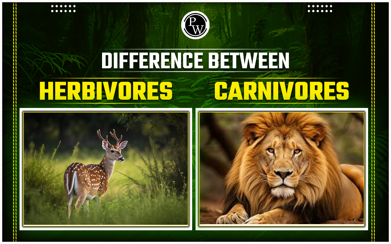 Difference Between Herbivores and Carnivores