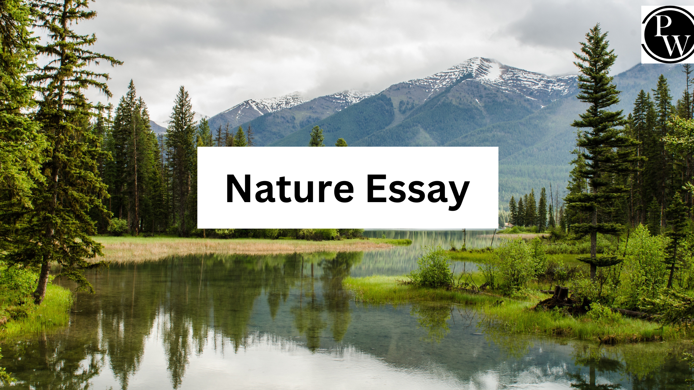 Nature Essay