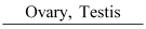 Chapter 22-Chemical Coordination and Integration