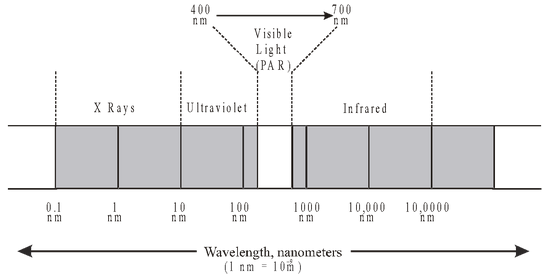 Environment Factors