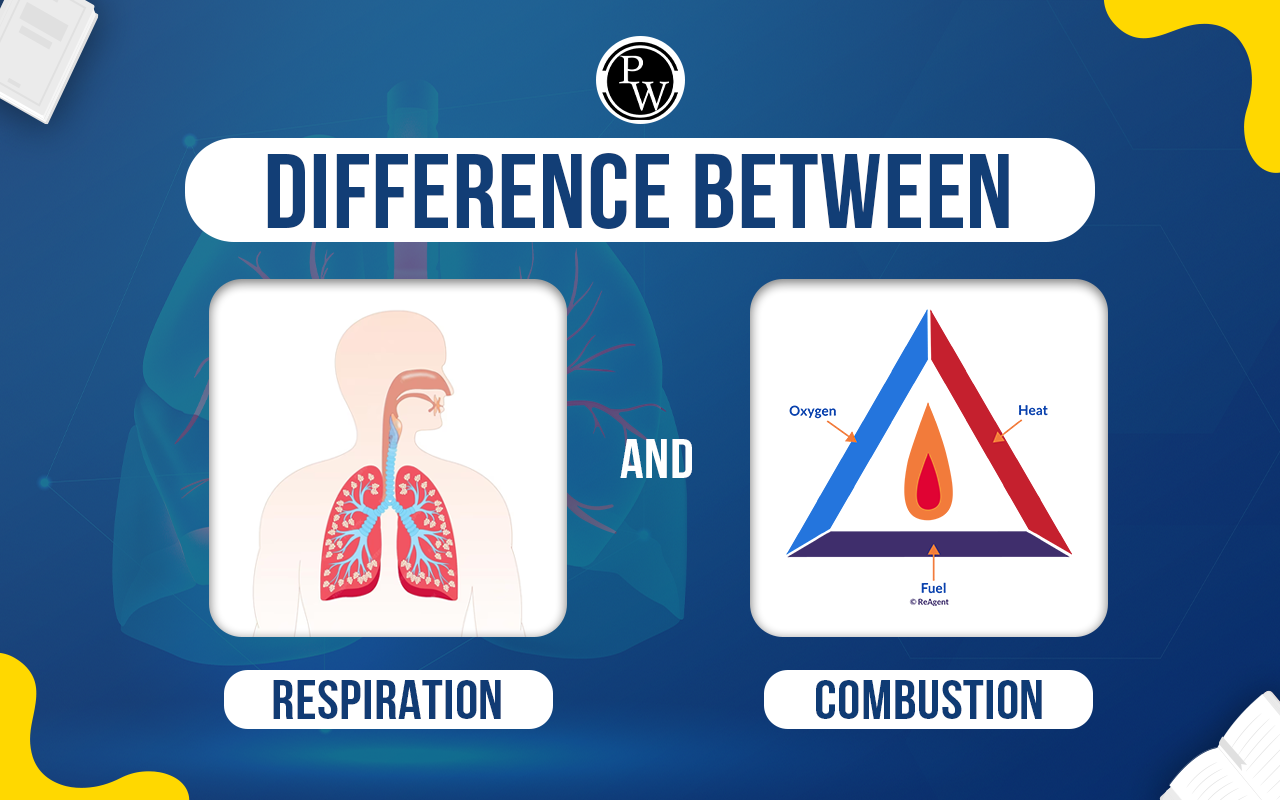 Difference Between Respiration and Combustion