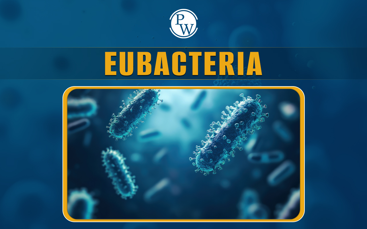 Eubacteria