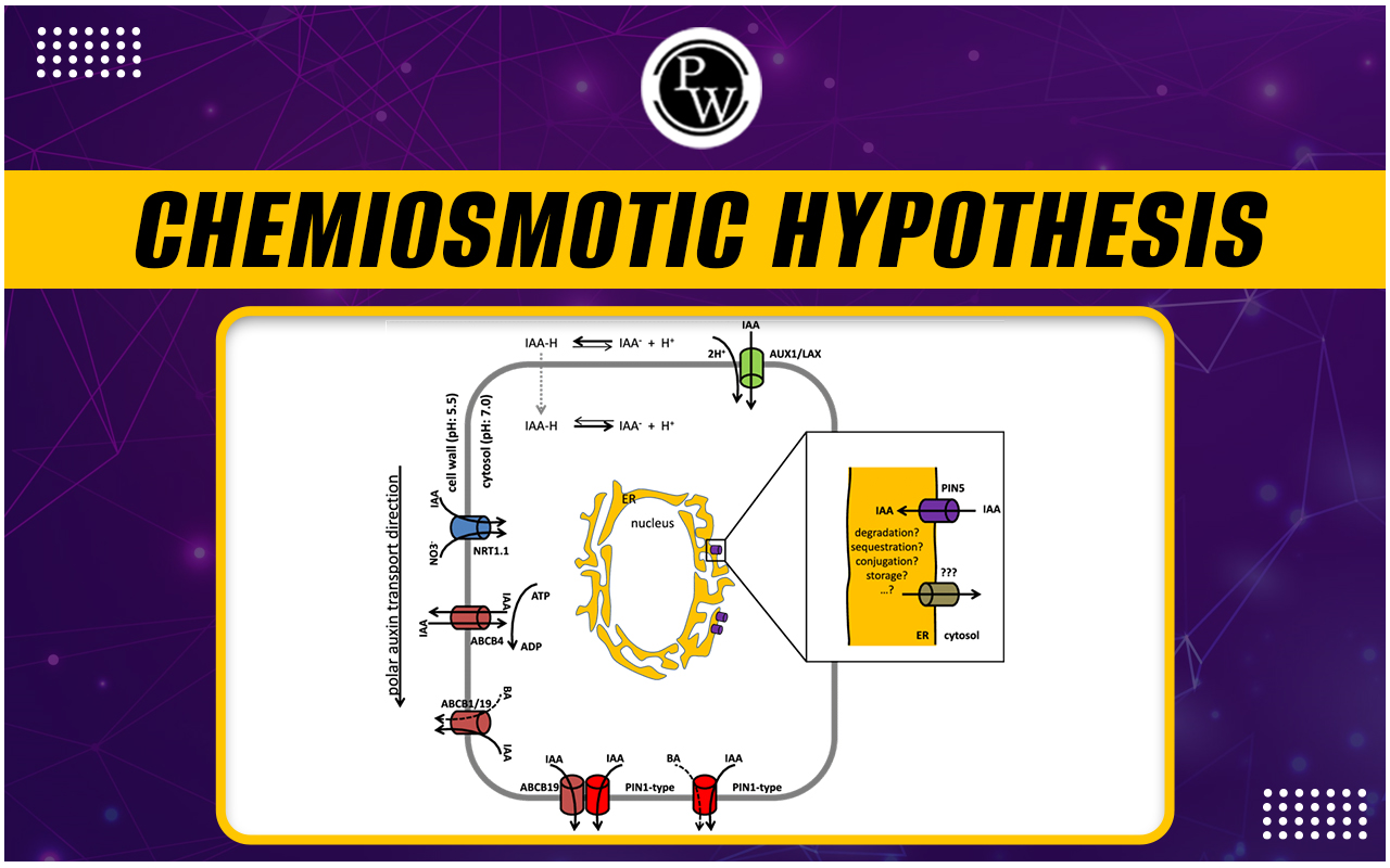Chemiosmotic Hypothesis