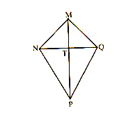 congruence of triangles