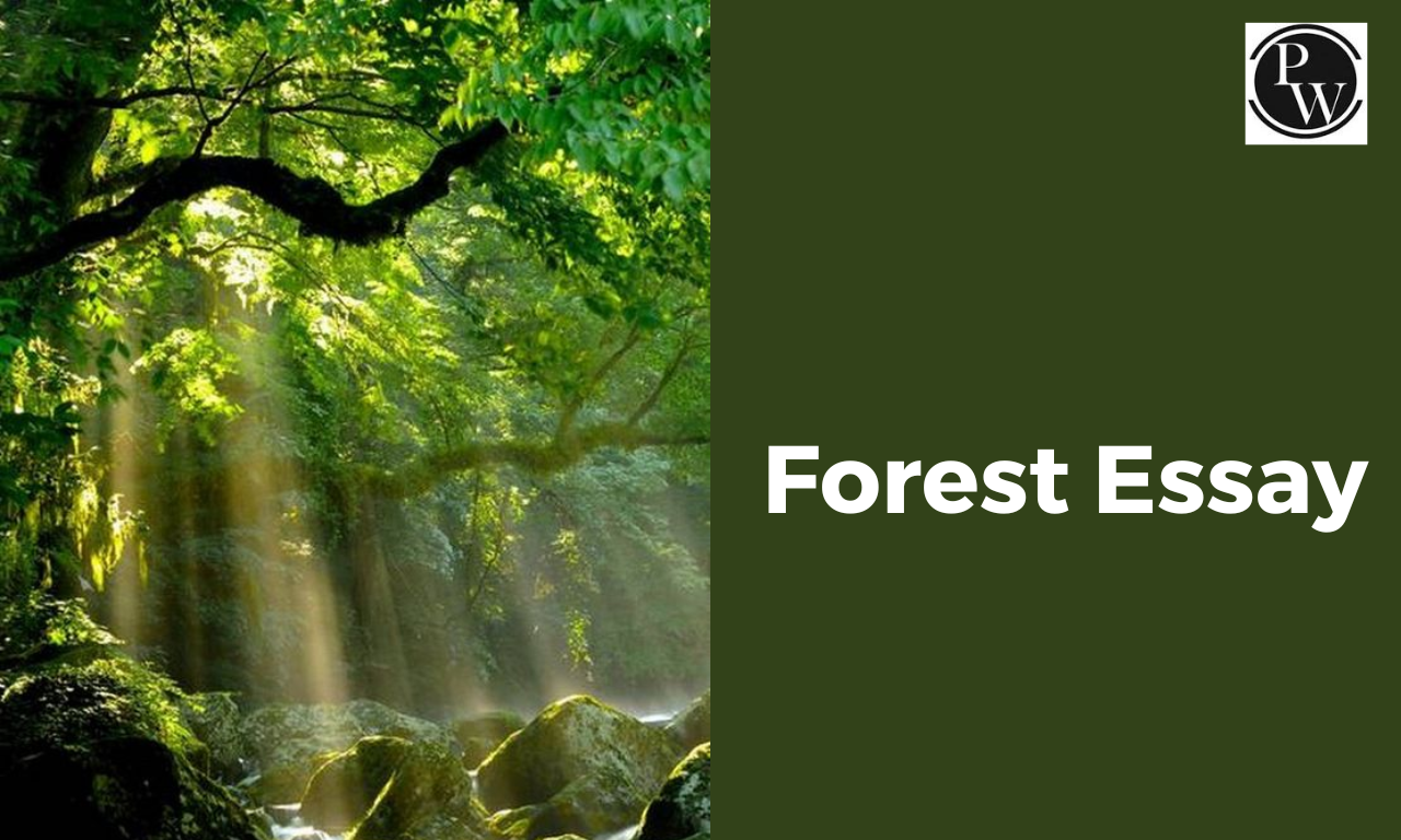 Forest Essay, 500 Words Essay on Forest in English