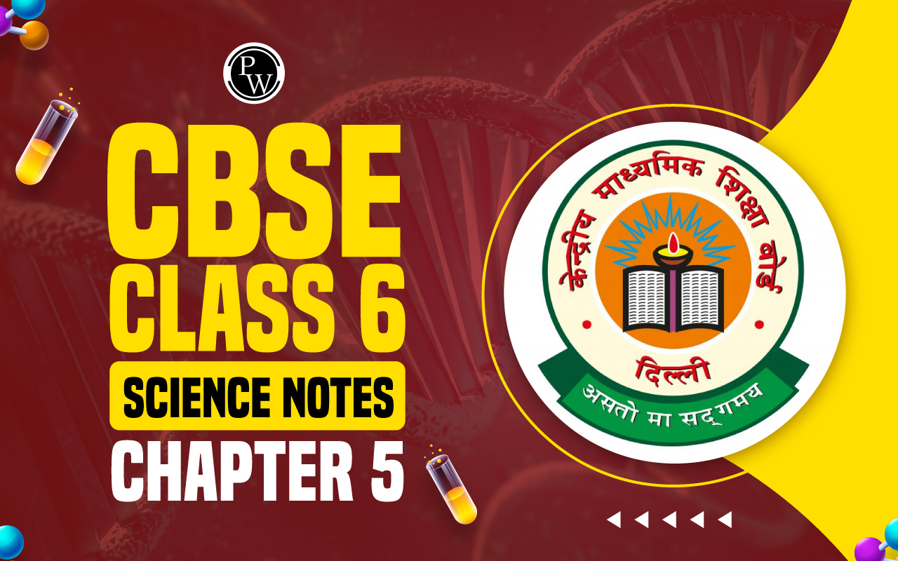 CBSE Class 6 Science Notes Chapter 5