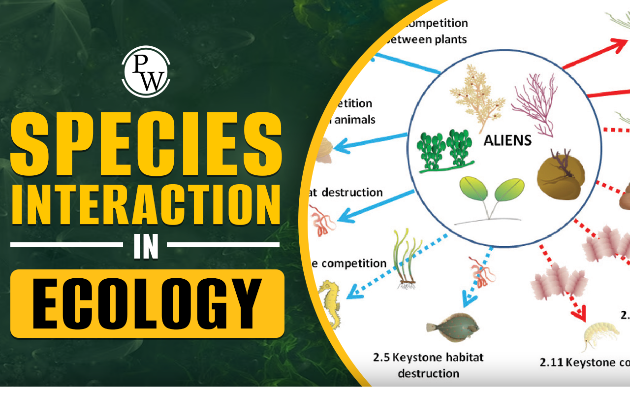 Species Interaction In Ecology