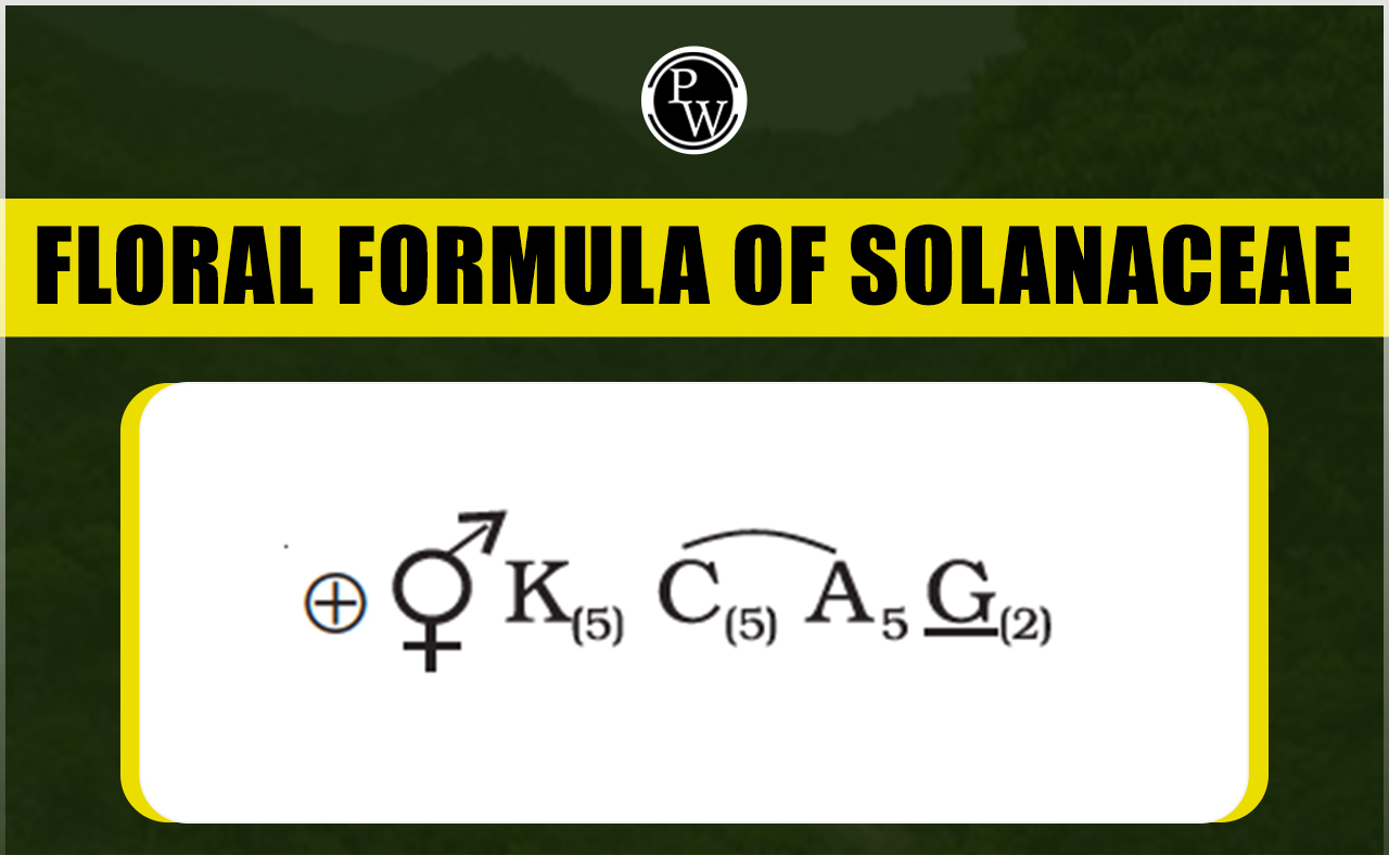 Floral Formula of Solanaceae