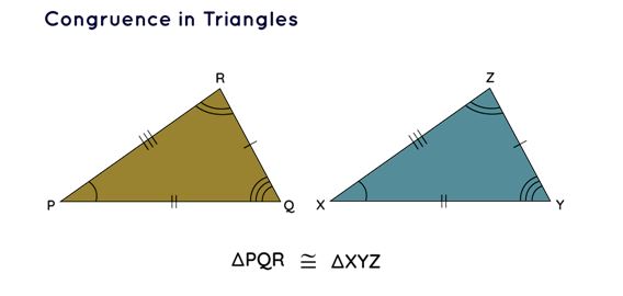 Triangle Congruence