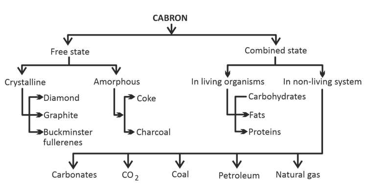carbon and its compound