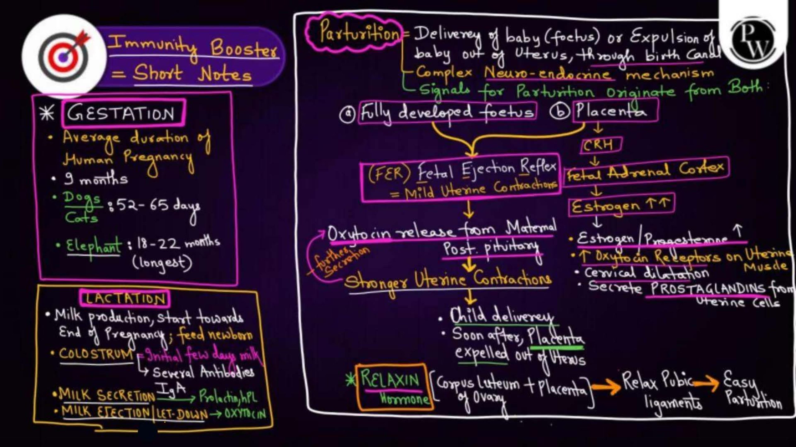 Human Reproduction Important NEET Notes