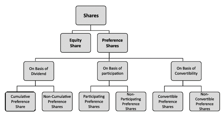 Kinds of Share Capital
