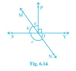 Ncert solutions class 9 chapter 6-2