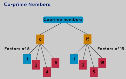 Co Prime Numbers