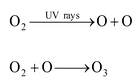 Environment Factors