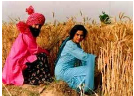 punjab