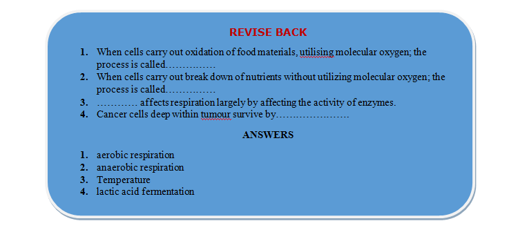 aerobic and anaerobic respiration revision
