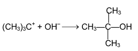 Mechanism Of Organic Reaction