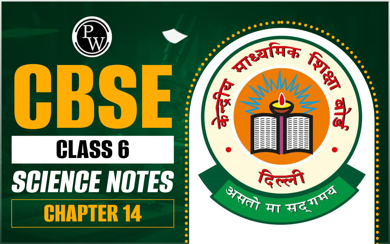 CBSE Class 6 Science Notes Chapter 14